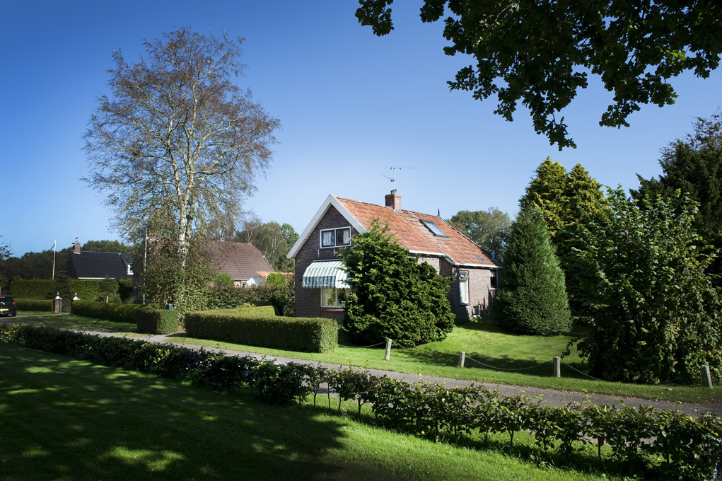 Summarheide